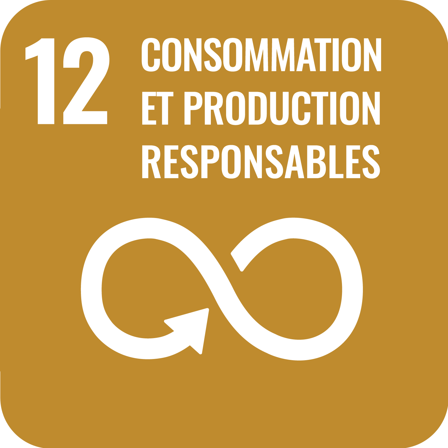 ODD 12 - CONSOMMATION ET PRODUCTIONS RESPONSABLES